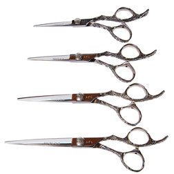 Jaguar - Mizura - Ekip - div